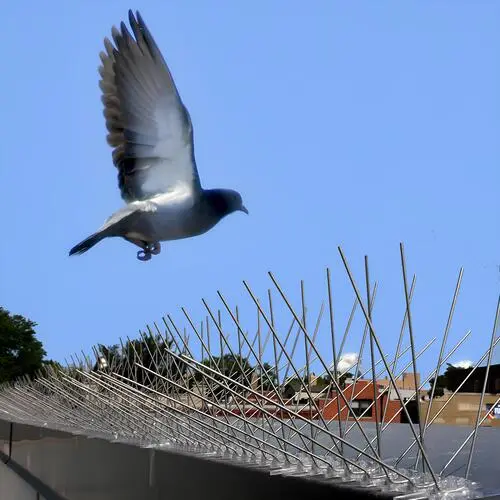 Chennai Safety Solutions Premium Anti Bird Spikes