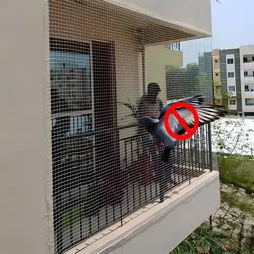 Premium Nets for Pigeon Control