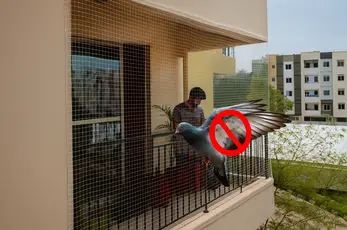 About Chennai Safety Solutions Pigeon Safety Nets6